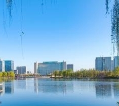 鸣雁惊鸿／徐守玺（山东省临沂市）（图2）