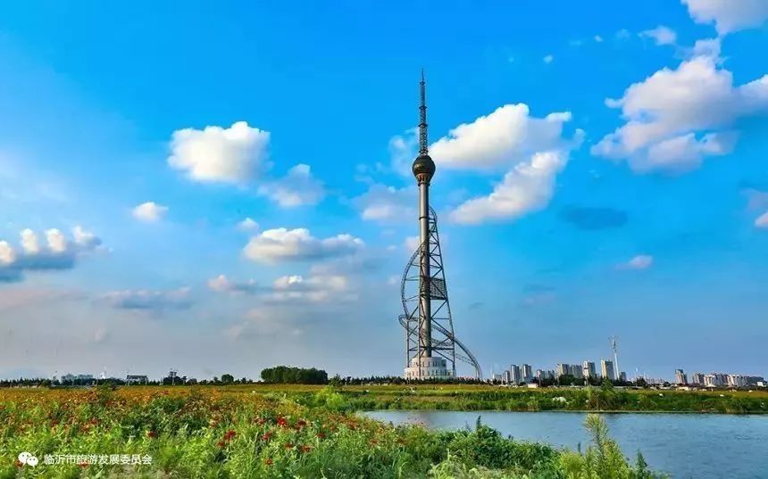 鸣雁惊鸿／徐守玺（山东省临沂市）（图3）