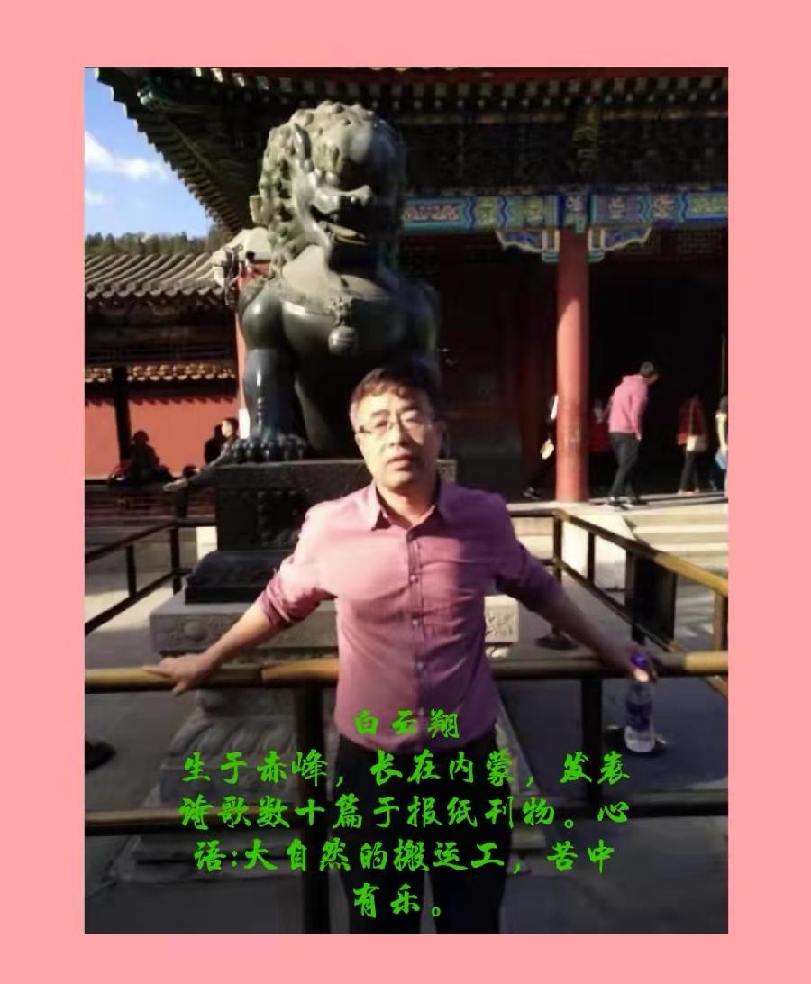 白云翔/《相见》诵读/傲雪红梅【苏河清音】上海头条【第992期】(图7)