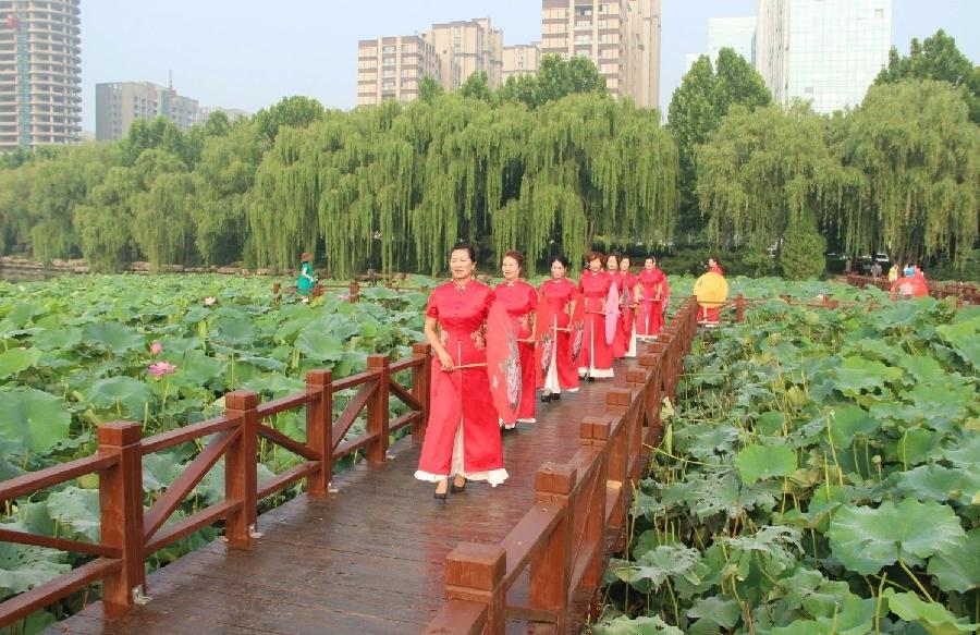 鸣雁惊鸿／徐守玺（山东省临沂市）（图17）