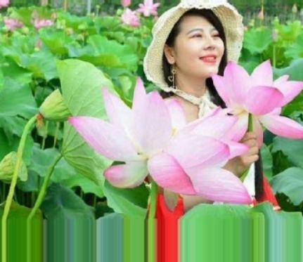 鸣雁惊鸿／徐守玺（山东省临沂市）（图19）