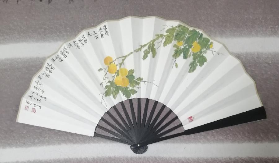 请欣赏中书协理事著名书法家马春来老师——扇面上的书画艺术||陕甘青藏头条（图15）
