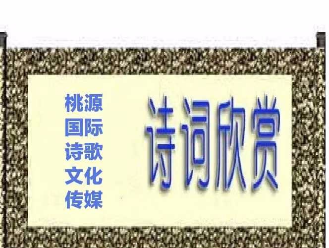 《社区之歌》作者:王桂安【主播:金牌主播:青苗】【桃源国际诗歌集团】[桃源♬ 馨声]（图14）