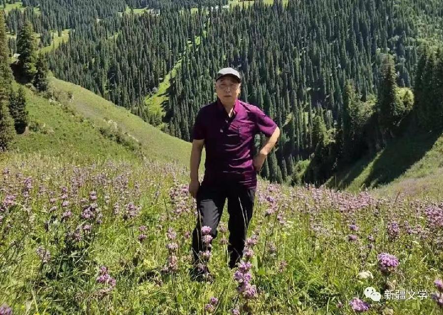 《田园之旅》作者:陈韵【主播:金牌主播:雪如玉】【桃源国际诗歌集团】[桃源♬ 馨声]（图12）
