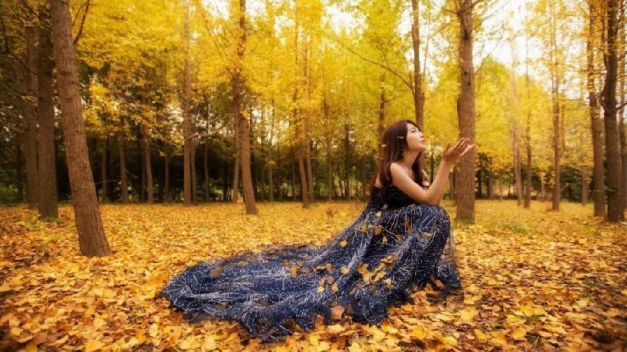 曾云子《咏秋》词专辑‖朗诵/梦露(图16)