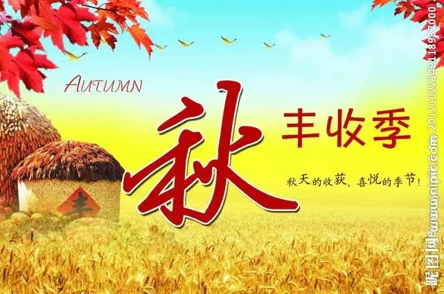 【明心文学】杨绪萍//组诗三首 主播//文溪（图6）