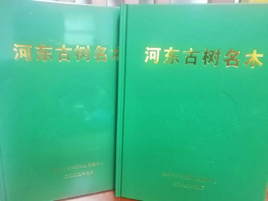 鸣雁惊鸿／徐守玺（山东省临沂市）（图8）