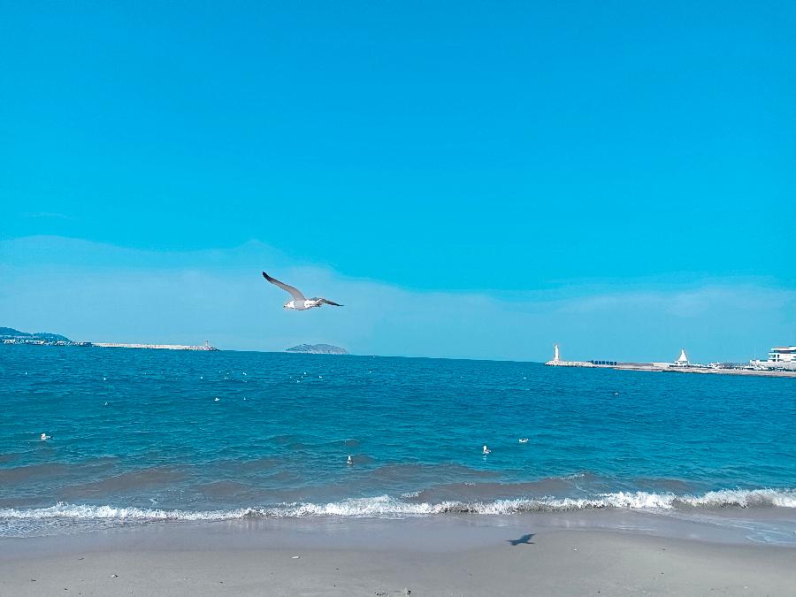 中华诗艺社黑龙江分社/【摄影】袁华:威海海韵(图5)