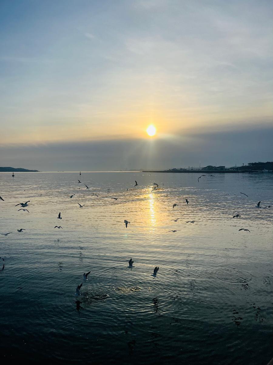 中华诗艺社黑龙江分社/【摄影】袁华:威海海韵(图16)