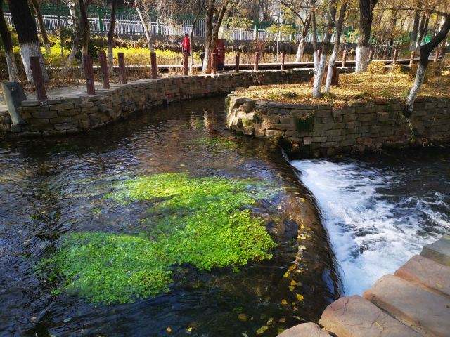 【老丫文苑】《水磨湾的歌谣》作者//王宇鹏(陕西)（图6）