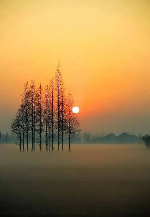 岁 月‖文图/赵京江（图12）