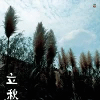 【潇湘文学社】潇湘如兰诗社《总417期》(立秋)(图13)