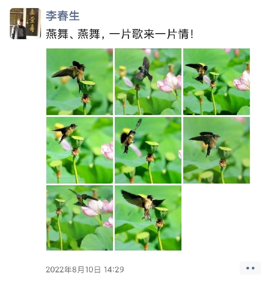李春生:母子情(图21)