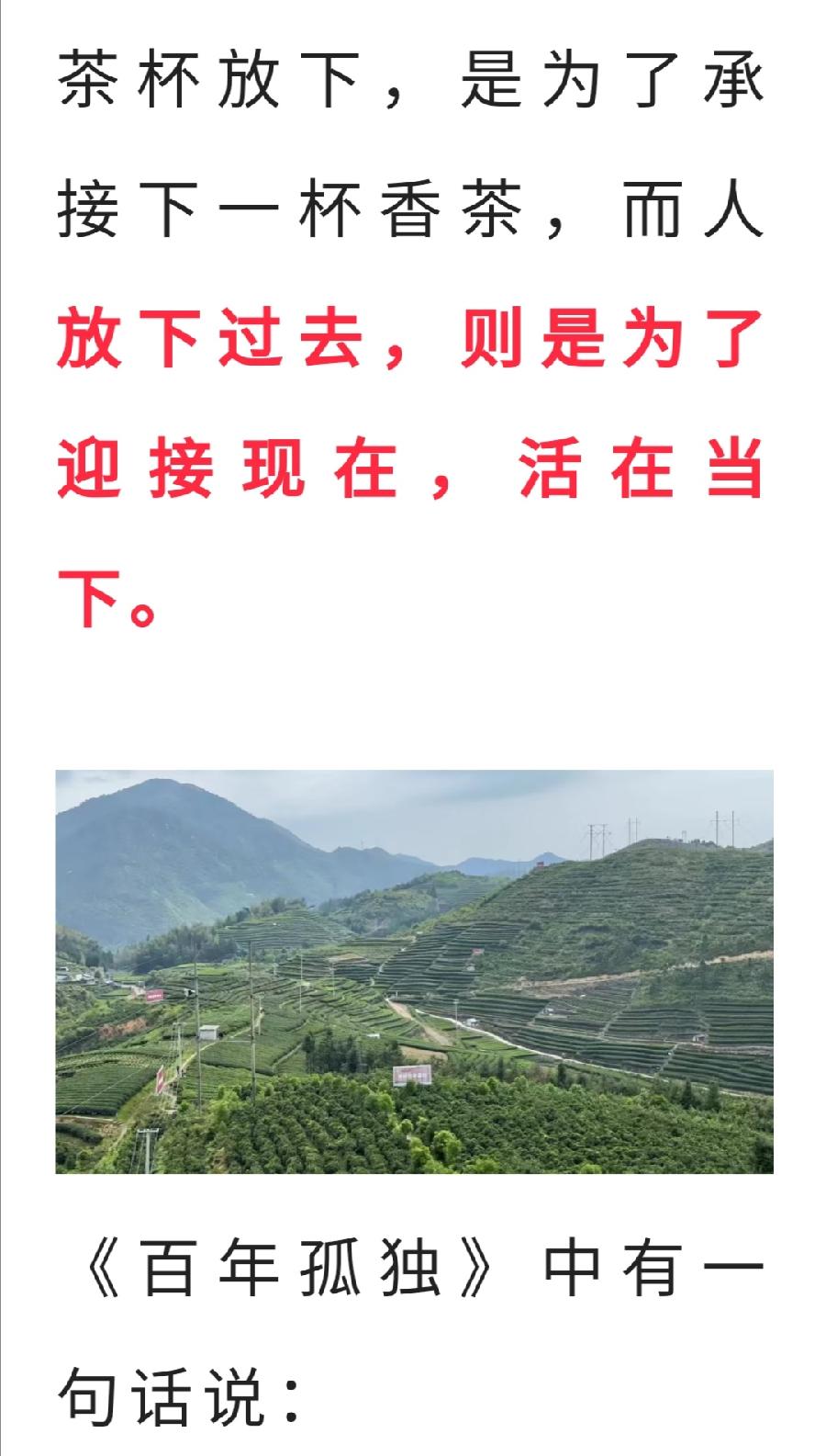 常喝茶的人，心态正、有分寸、身体好、气质佳！（图5）