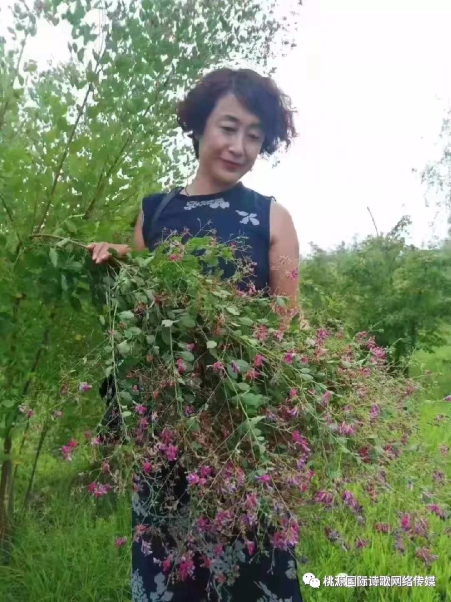 《接受自己》作者:石沉【主播:金牌主播:玥儿】【桃源国际诗歌集团】[桃源♬ 馨声]（图13）