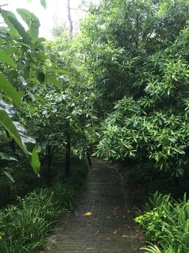 初 秋‖文图/赵京江（图13）