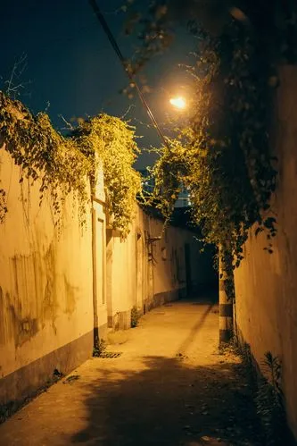 初 秋‖文图/赵京江（图3）