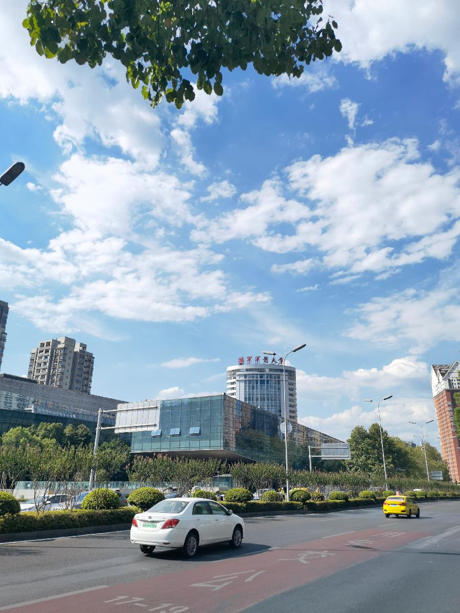 「散文」与秋老虎共舞(图3)