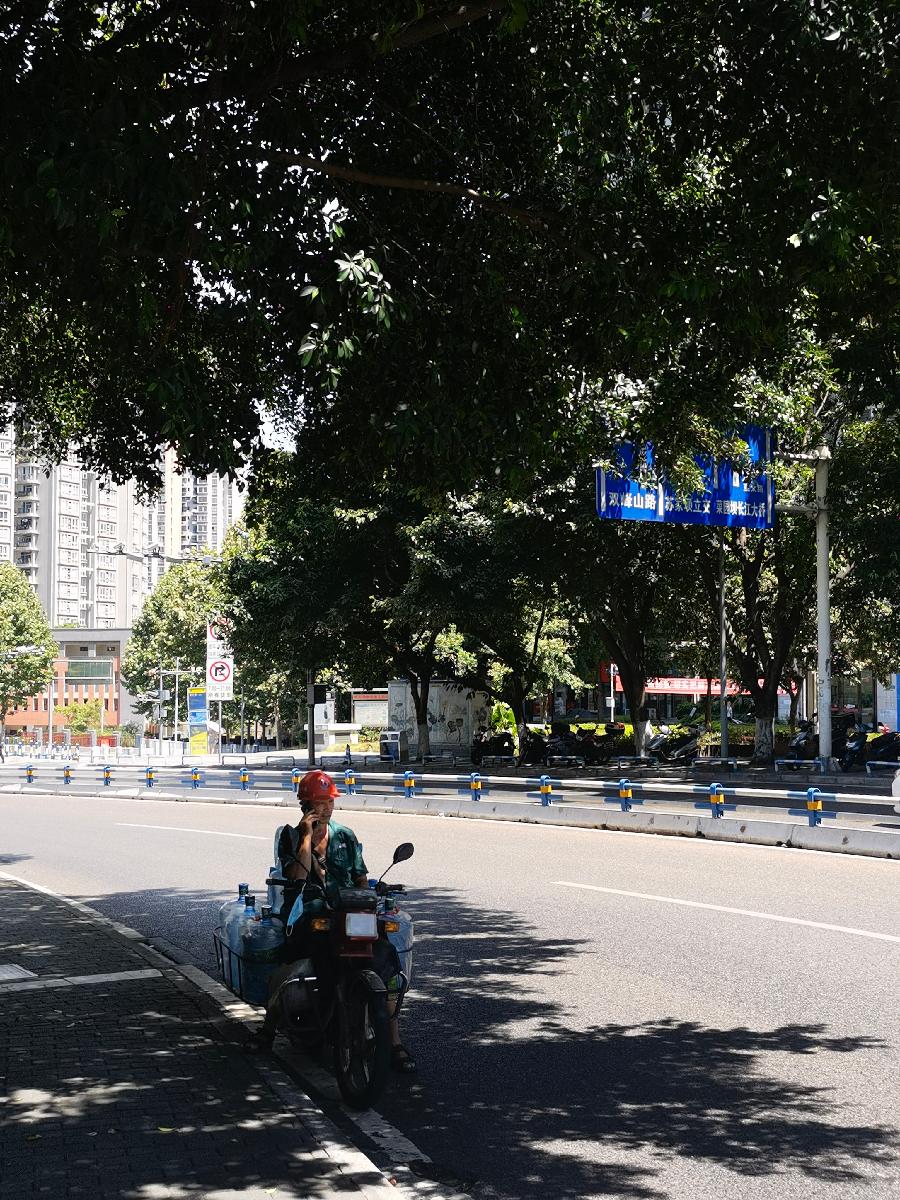 「散文」与秋老虎共舞(图4)