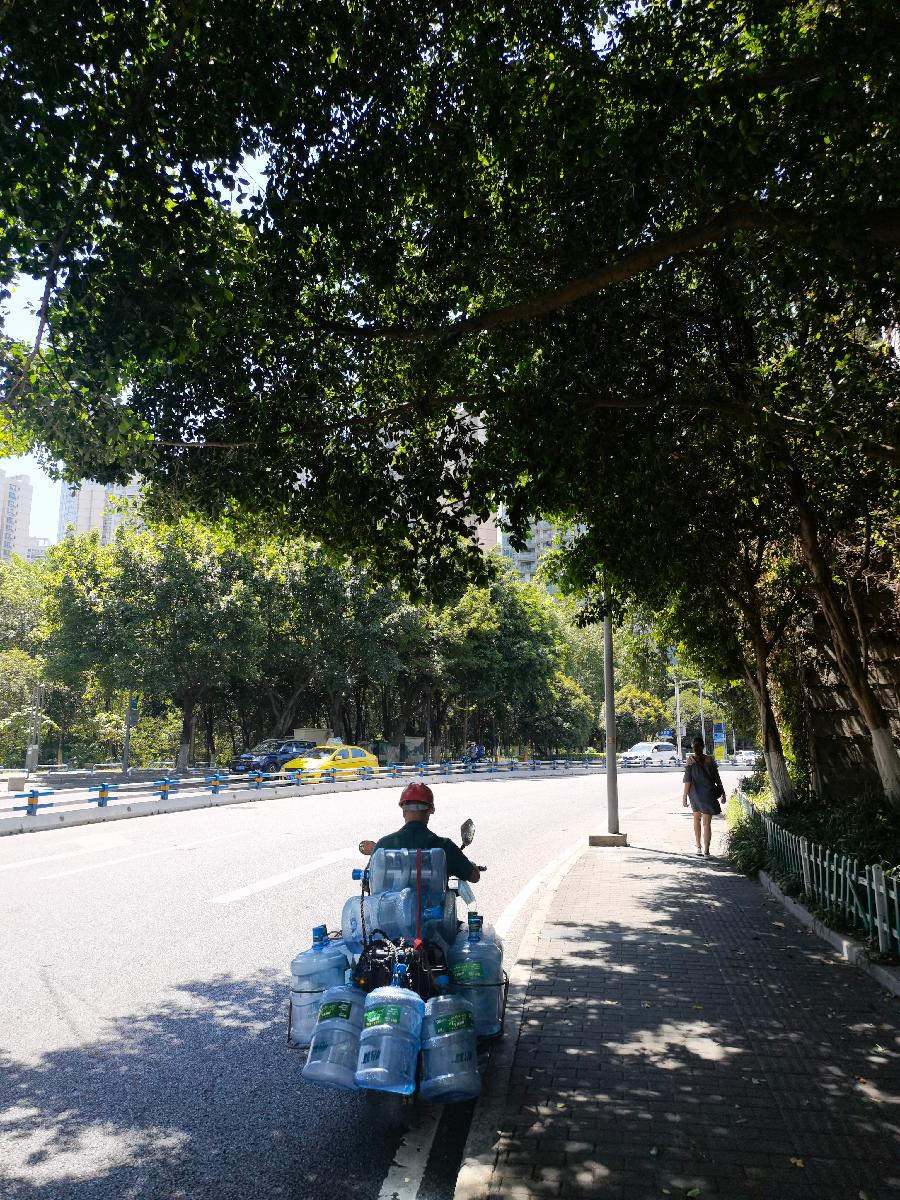 「散文」与秋老虎共舞(图6)