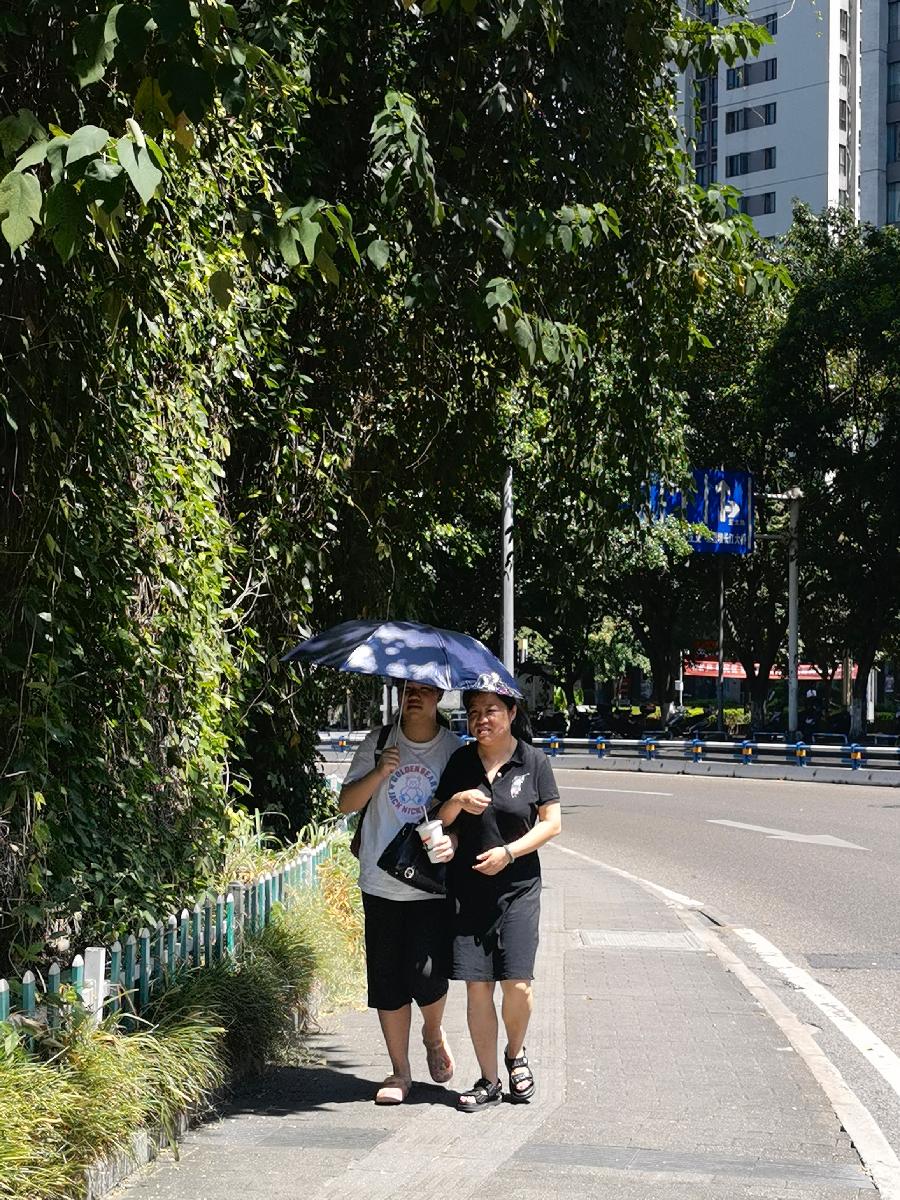 「散文」与秋老虎共舞（图12）