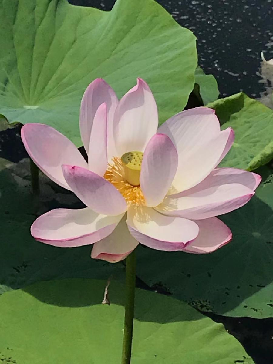 馨煜:捕捉自然的美(图13)