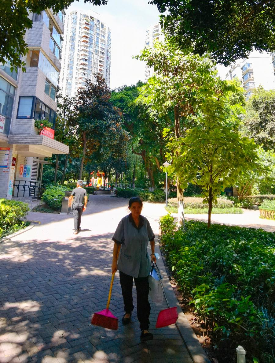 「散文」与秋老虎共舞(图15)