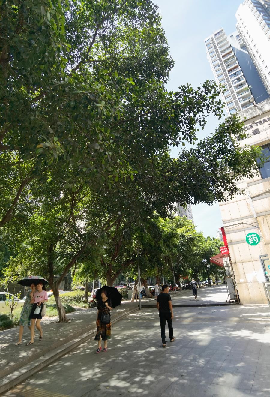 「散文」与秋老虎共舞(图18)