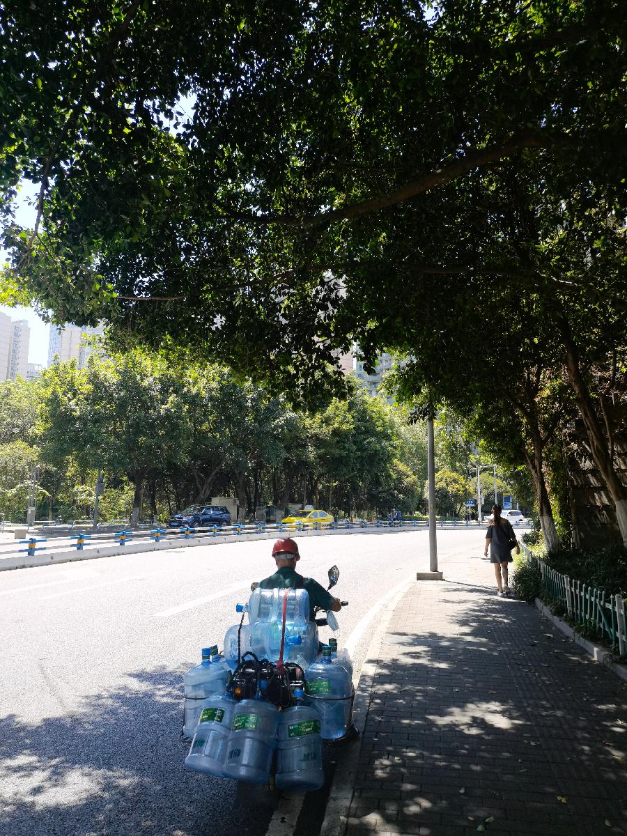 「散文」与秋老虎共舞（图21）