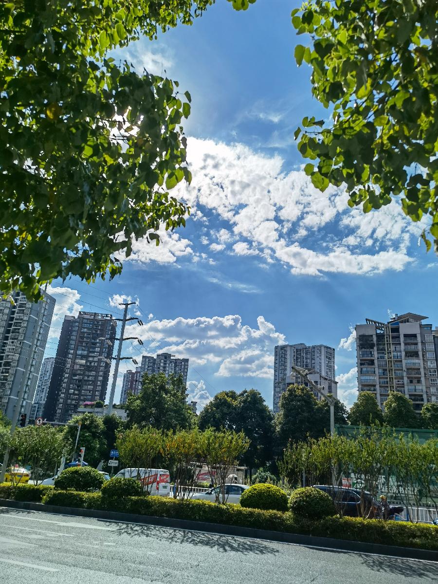 「散文」与秋老虎共舞（图20）