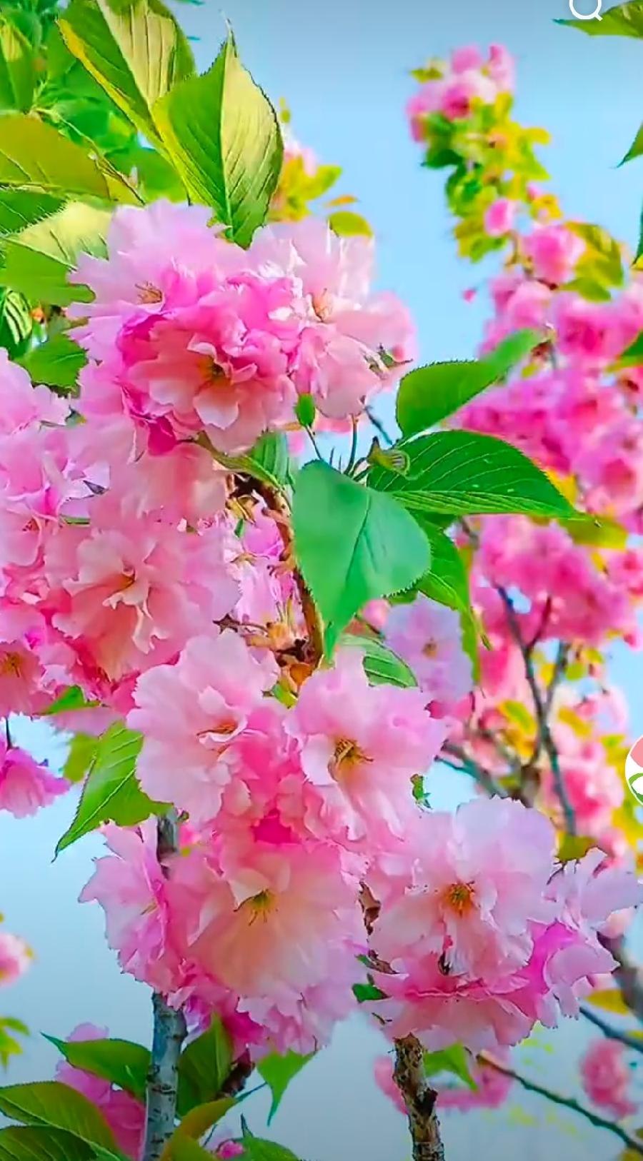 【佳作分享】道恩老师《汗液的悲怜》请欣赏（图13）