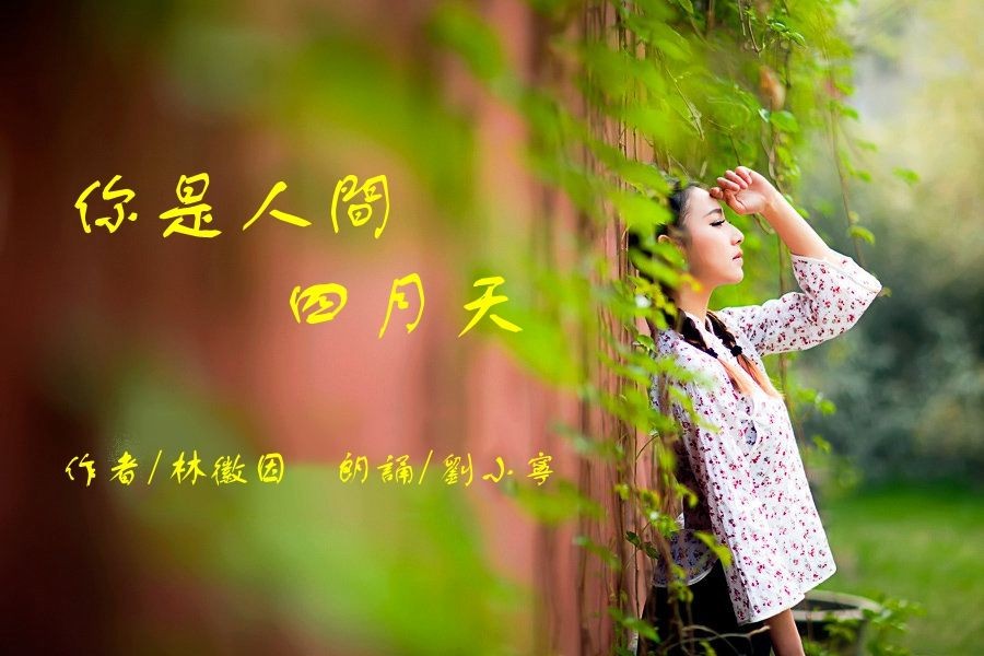 【诗词专辑五】作者 王香谷（悉尼）【冰心文化传媒】主编冰心（图8）