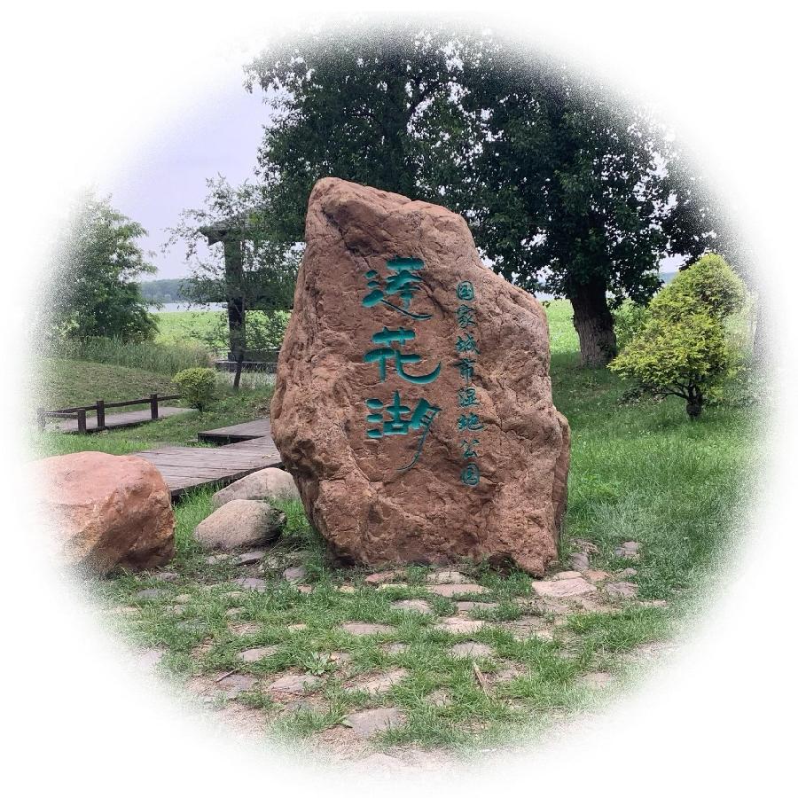 李振汉:日映荷花红靥笑 风吹岸柳绿丝扬(图5)