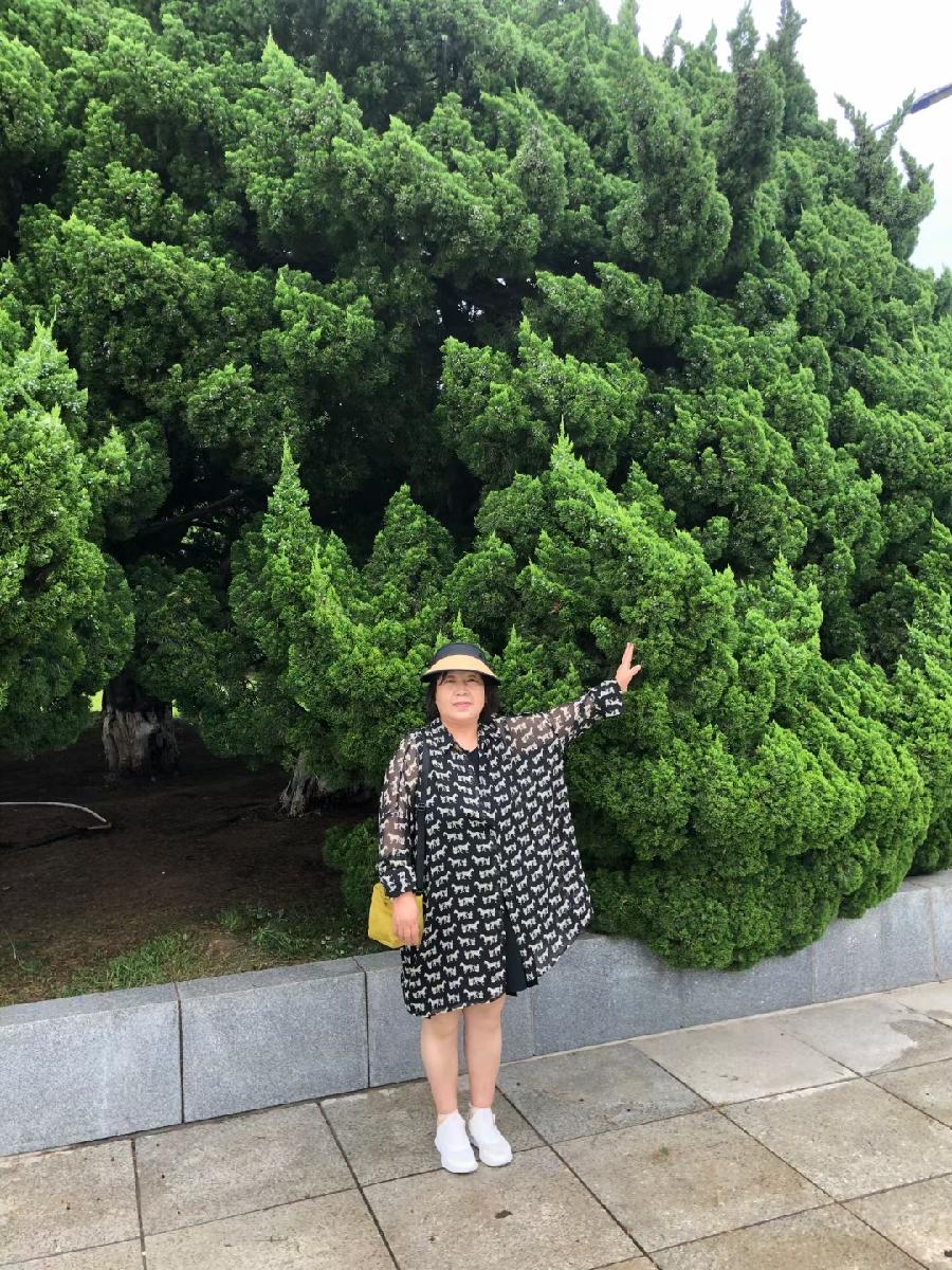 王文芝:大连之旅（图8）