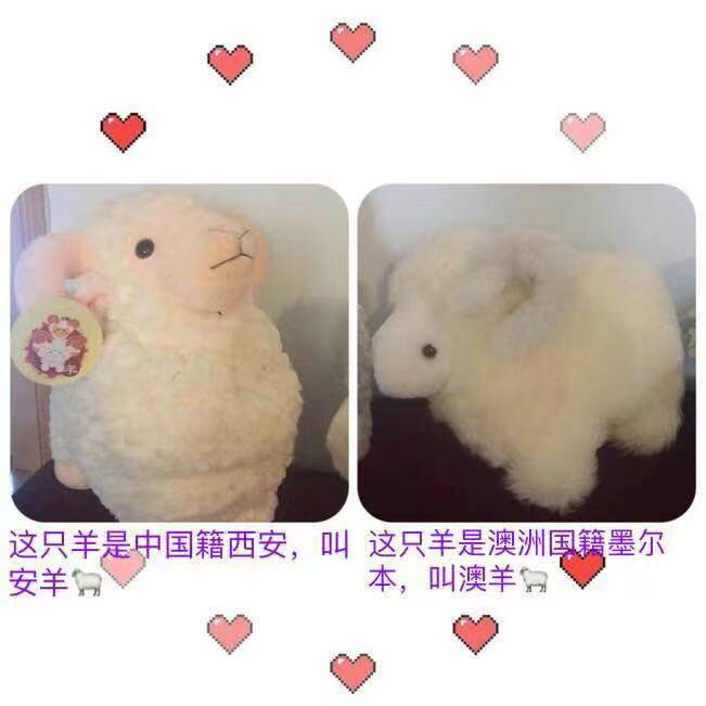 妮妮之羊（图4）
