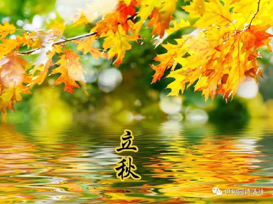 秋 咏‖文图/吕锦芳