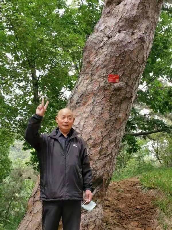 推荐诗人北山虎现代诗《鹰之礼赞》