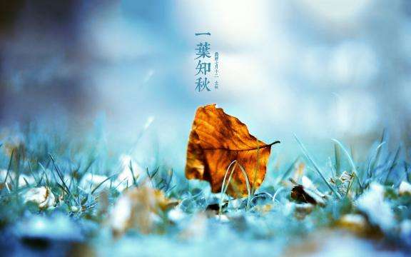 立秋诗词（四首）文／张昕（图2）