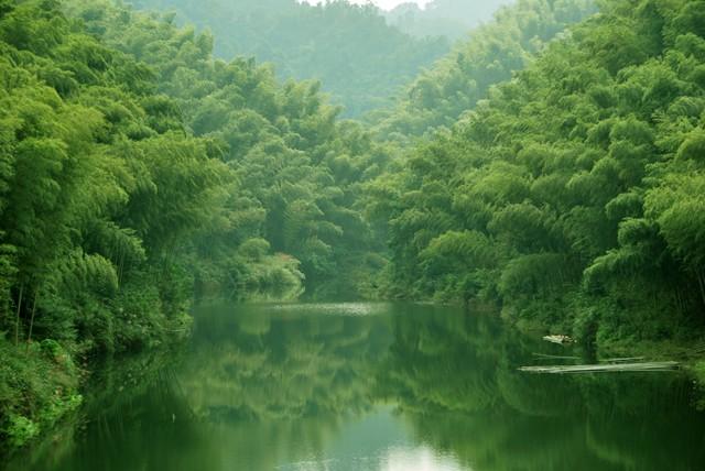 立秋诗词（四首）文／张昕（图5）
