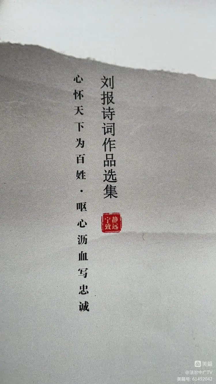 【雅诗总会】刘报主任42岁的生日欢庆晚宴暨《刘报诗集·第1卷》出版仪式(图8)
