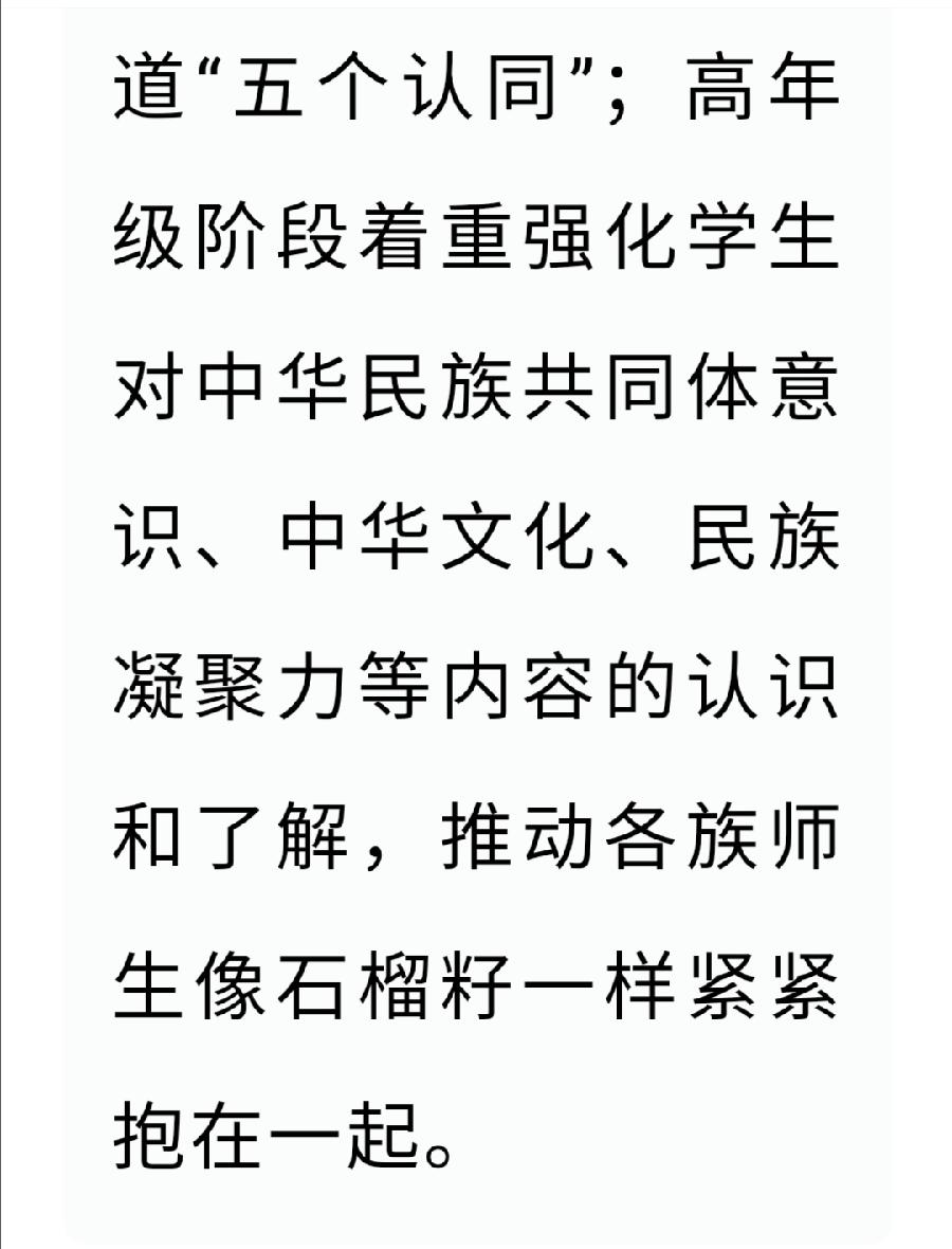 西双版纳州允景洪小学：民族团结进步教育从娃娃抓起（图11）