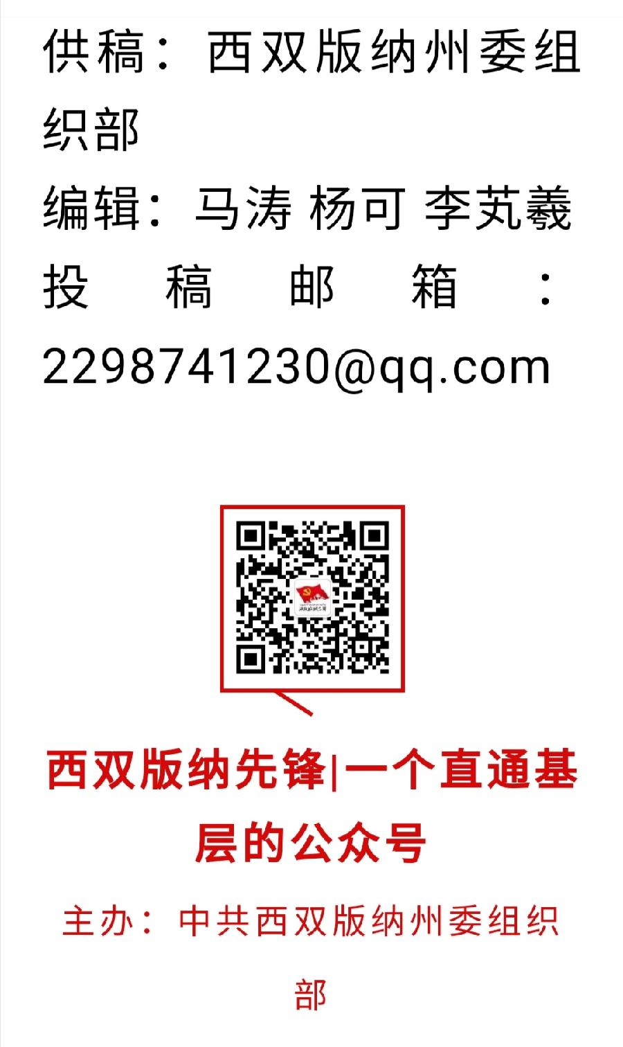 西双版纳州允景洪小学：民族团结进步教育从娃娃抓起（图21）