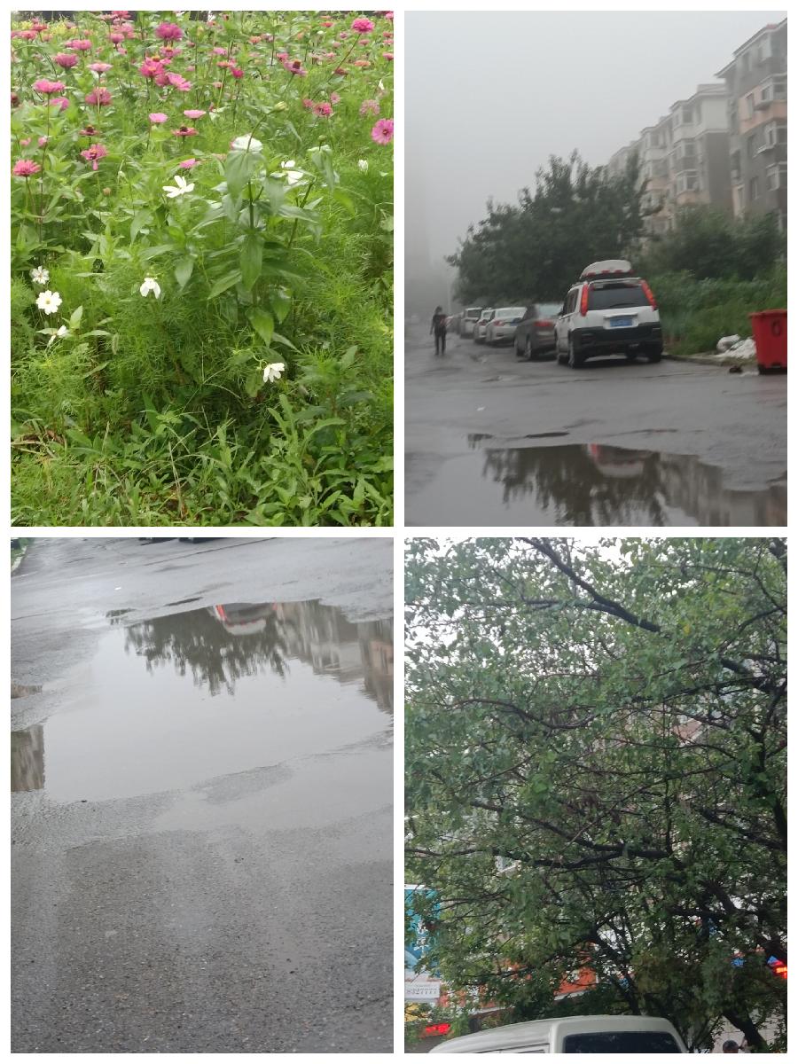 雨后