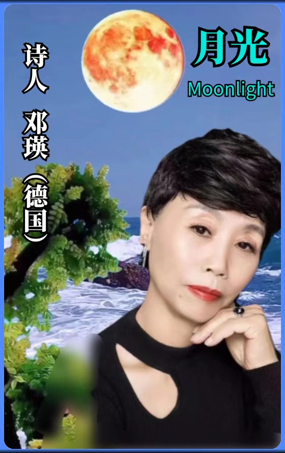 ⭐️《世界之星》诗人团系列(1)【世界戏剧影视协会】世界诗人名人展(特刊)(图7)