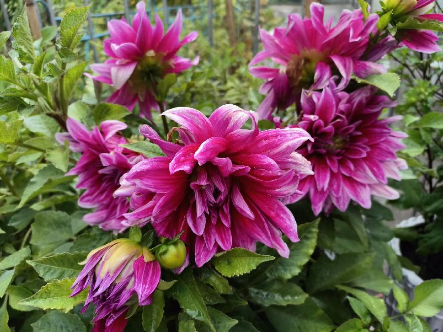 孙君:心中若有桃花源,闲庭亦是水云间!(图3)