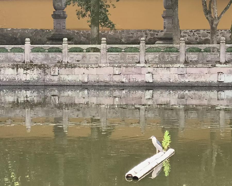 孙君:心中若有桃花源,闲庭亦是水云间!(图16)