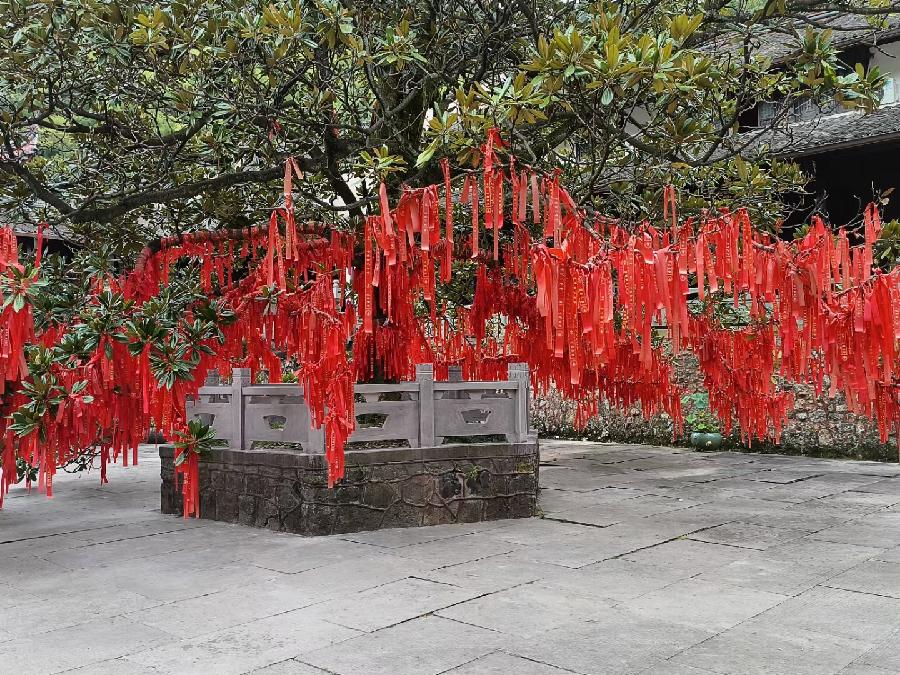 孙君:心中若有桃花源,闲庭亦是水云间!(图18)