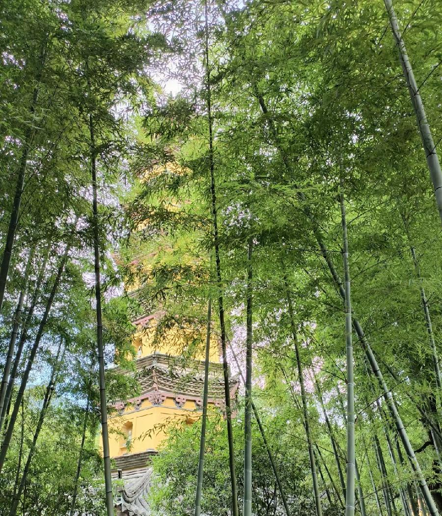 孙君:心中若有桃花源,闲庭亦是水云间!(图20)