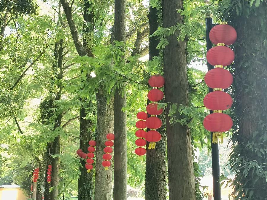 孙君:心中若有桃花源,闲庭亦是水云间!(图28)