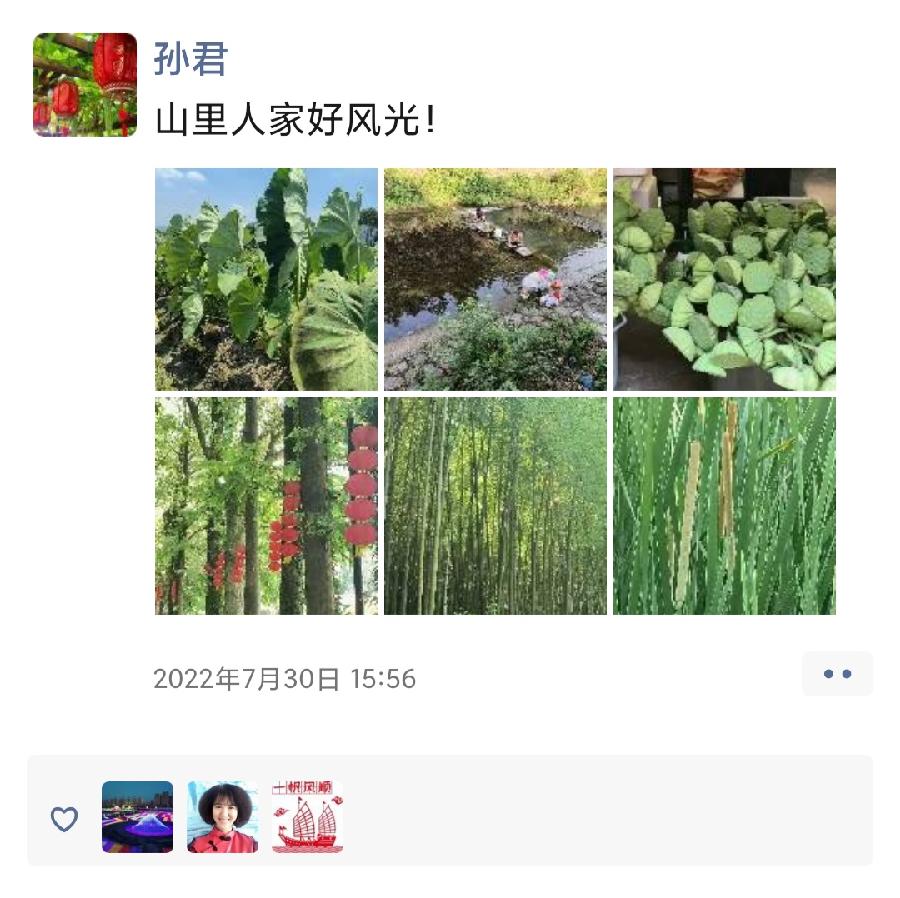 孙君:心中若有桃花源,闲庭亦是水云间!(图31)